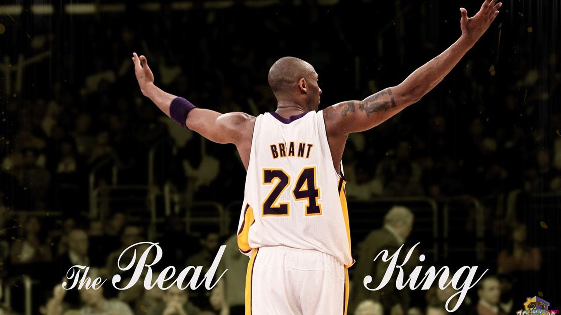 《英雄联盟亚洲赛区,强队鏖战正酣》,英雄联盟亚洲赛区的简称